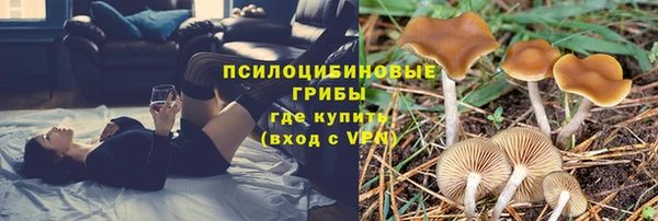 не бодяженный Армянск