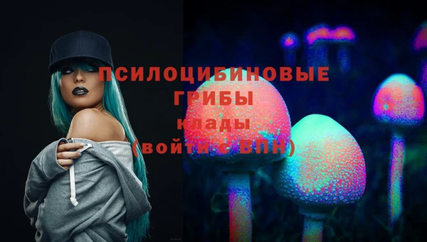 дживик Арсеньев