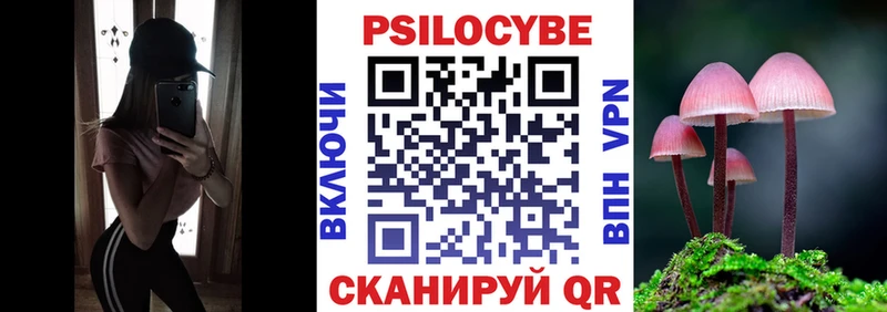 Галлюциногенные грибы Psilocybe Сосновый Бор